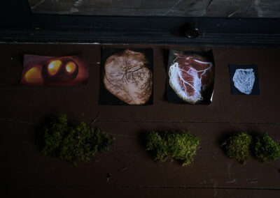 Four printed images of hearts and three small clumps of moss on a table