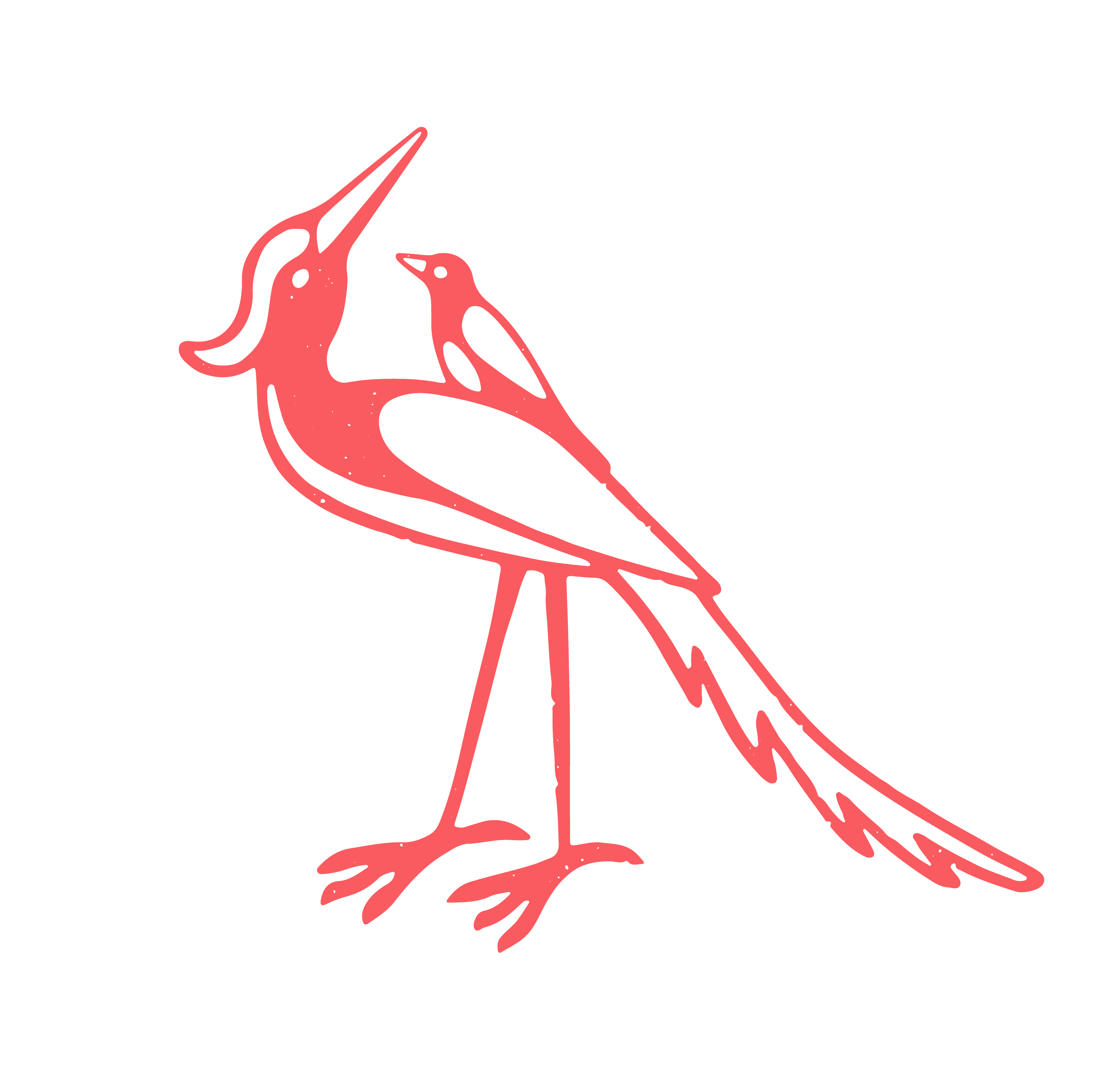 Bird-Primary Colour-Large-Transparent-background